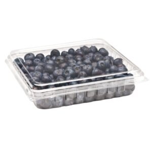 Low Profile Clamshell
