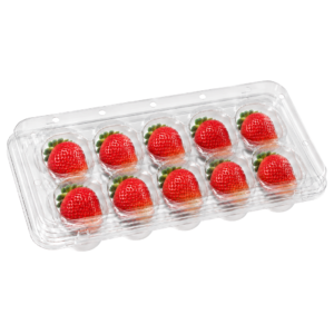 10 CT strawberry Tray