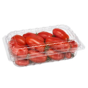 FVT-I 3LB ROMA